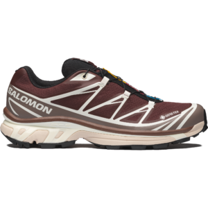 Salomon XT-6 GORE-TEX "Bitter Chocolate Iron Vanilla Ice"