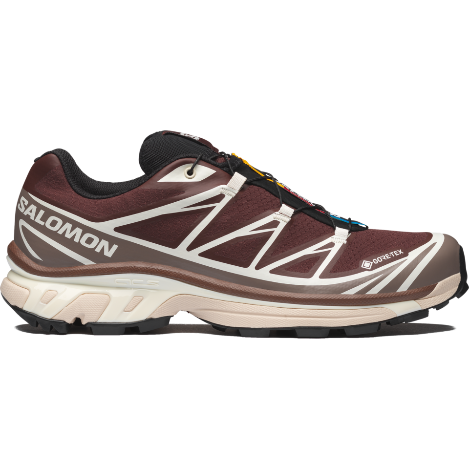 Salomon XT-6 GORE-TEX "Bitter Chocolate Iron Vanilla Ice"