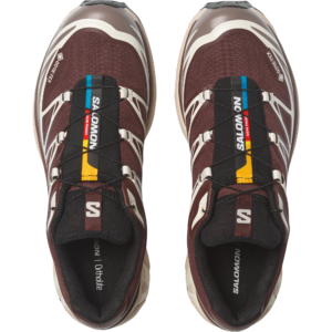 Salomon XT-6 GORE-TEX "Bitter Chocolate Iron Vanilla Ice"