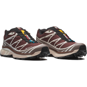 Salomon XT-6 GORE-TEX "Bitter Chocolate Iron Vanilla Ice"