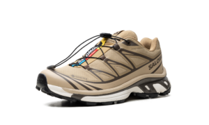 Salomon XT-6 GORE-TEX "Kelp Wren Safari"