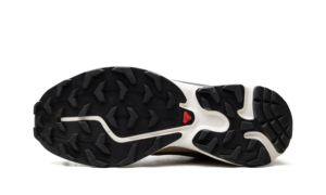 Salomon XT-6 GORE-TEX "Kelp Wren Safari"